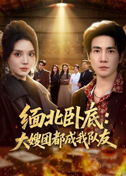 缅北卧底：大嫂团都成我队友(全集)