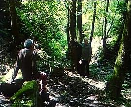 阿蒂米德的膝盖(全集)