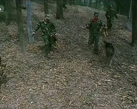 拉尔复仇记(全集)